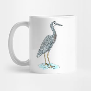 White-faced Heron Mug